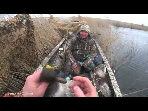 Видео: Закрытие утиной охоты 2025!