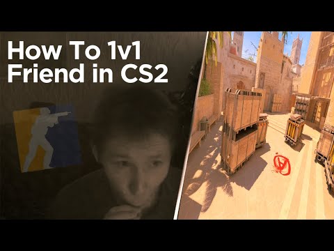 Видео: Elsey Vice КОМЕНТИРУЕТ ДРУЖЕСКИЙ МАЧ В CS 2