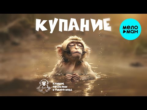 Видео: Купание обезьяны в тёплой воде - КУПАНИЕ (Альбом 2025)