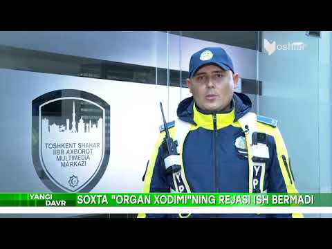 Видео: Ленд Крузерда юрган сохта "ходим" қўлга тушди