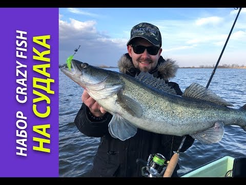 Видео: Набор силиконовых приманок Crazy Fish на судака. Выбор Андрея Ведуты