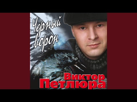 Видео: Черный ворон