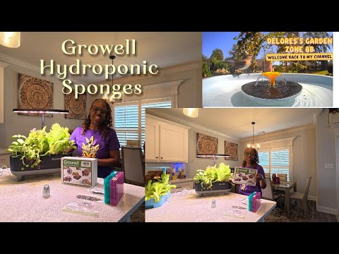 Видео: Гидропонные губки Growell