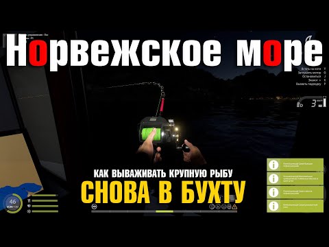 Видео: Едем в бухту • Мой самый сильный соперник • Летающий Меч • Норвежское Море • Русская Рыбалка 4