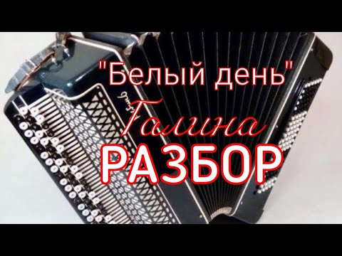 Видео: "Белый день" - Галина / разбор по нотам