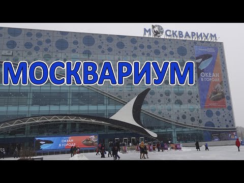Видео: Москвариум на ВДНХ !
