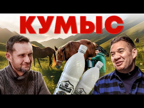 Видео: Как делают кумыс? Дойка кобыл и содержание лошадей.  Производство кумыса. Андрей Даниленко