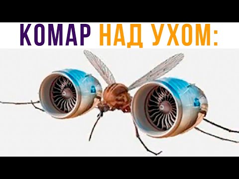 Видео: Я: ПЫТАЮСЬ УСНУТЬ. КОМАР НАД УХОМ))) Приколы | Мемозг 717