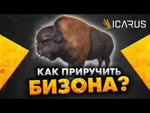 Видео: Как приручить Бизона или страуса Моа в ICARUS
