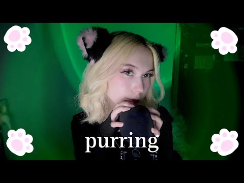 Видео: ASMR PURRING♡🐾 замурлычу тебя перед сном ~purring, scratching, mouth sounds~