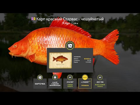 Видео: ФАРМ НА МЕДНОМ И ДРУГИЕ ВОДОЕМЫ РР4 В РУССКОЙ РЫБАЛКЕ 4 СТРИМ