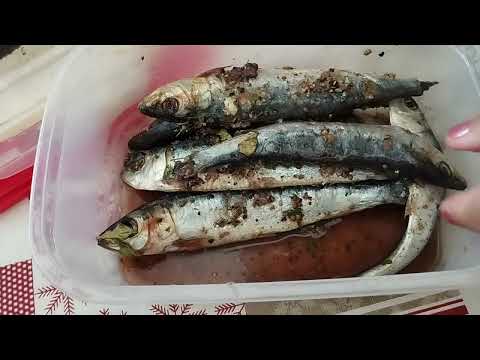 Видео: Как посолить сардины