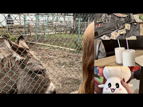 Видео: будни и зоопарк с друзьями 