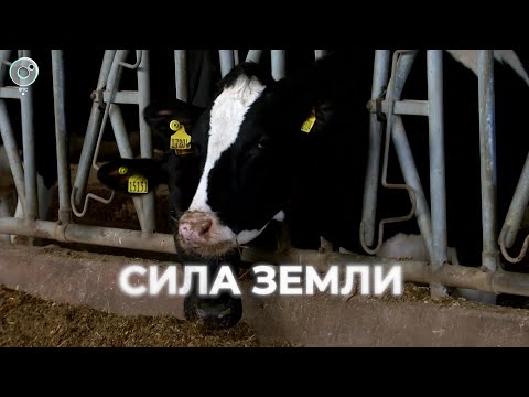 Видео: Программа "СИЛА ЗЕМЛИ" | 18 января 2024 | Телеканал ОТС