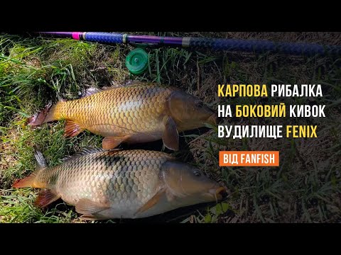 Видео: Ловля карпа на боковой кивок на дикой реке на удилище Fenix (Феникс), сезон 2022 года
