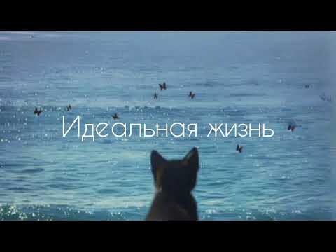 Видео: Идеальная жизнь (вторая версия) | саблиминал #саблиминал #аффирмации