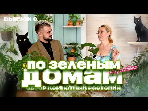 Видео: По зеленым домам! Выпуск 8. Обзор комнатных растений!