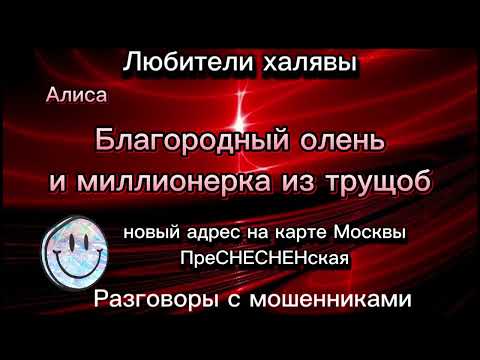 Видео: БЛАГОРОДНЫЙ ОЛЕНЬ И МИЛЛИОНЕРКА ИЗ ТРУЩОБ.