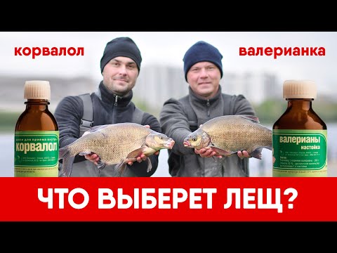 Видео: ВАЛЕРЬЯНКА ПРОТИВ КОРВАЛОЛА! Что выберут лещи? ФИДЕРНЫЙ БАТЛ №4, Сезон 2021-22
