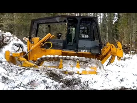 Видео: Бульдозер SHANTUI SD16 в лесу SHANTUI на расчистке погрузочной площадки
