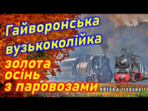 Видео: Гайворонська вузькоколійка: ПАРОВОЗИ і золота осінь