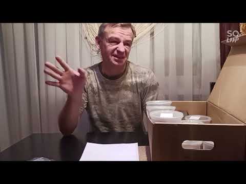 Видео: Семена табака.