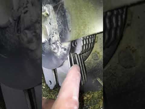 Видео: Комбикорм для гусей и утей, дома