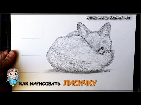 Видео: Как нарисовать лису карандашом