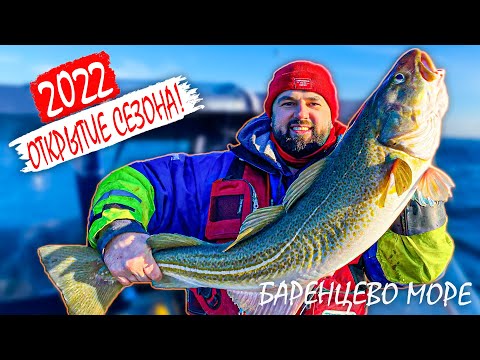 Видео: МАРТ 2022. ТРЕСКА СТОИТ СТЕНОЙ! МОНСТРЫ БАРЕНЦЕВА МОРЯ! ОТКРЫТИЕ СЕЗОНА! МЕЖДУ ЛЬДИН К КИЛЬДИНУ.