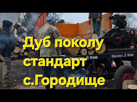 Видео: ДУБ поколу стандарт с.Городище