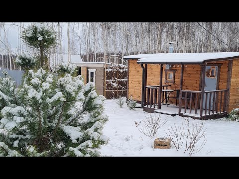 Видео: Дела дачные.  Всё как есть без прекрас. Октябрь.