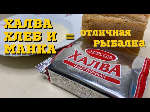 Видео: СУПЕР НАСАДКА ДЛЯ ЛОВЛИ КАРПА!!! Она спасла не одну рыбалку!!!