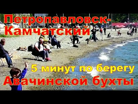 Видео: КАМЧАТКА   5 минут на берегу Авачинской бухты