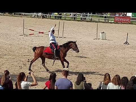 Видео: Иппосфера 2021. Конная програма с элементами казачьей джигитовки