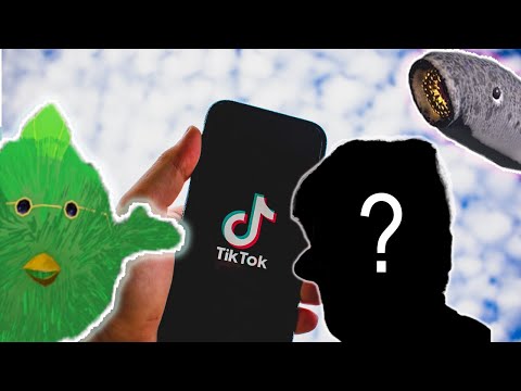 Видео: РЕАКЦИЯ НА ШОРТЫ (СЕКРЕТНЫЙ ГОСТЬ) | Listink & Nugger 🔥