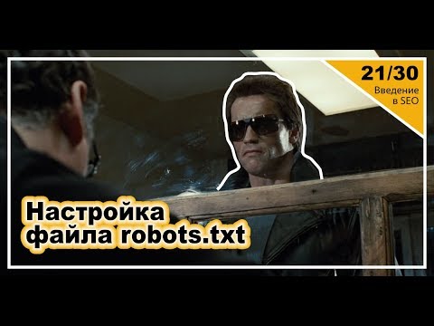 Видео: Урок 21: Настройка файла robots.txt. Введение в SEO