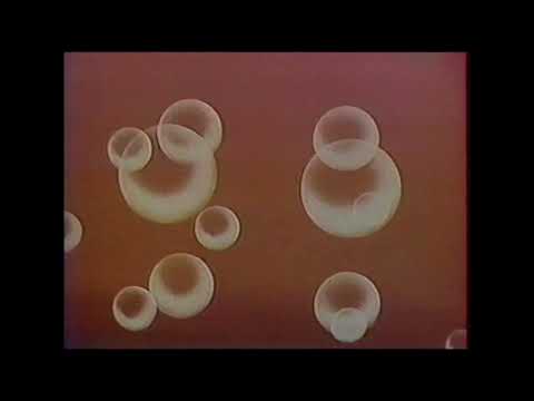 Видео: Фрагмент передачі - Вечірня Казка. УТ-1.1992