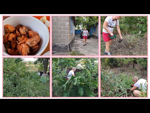 Видео: Сад превратился в джунгли...Пора зачищать участок! Долой красивые вонючки)