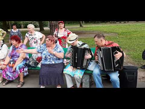 Видео: Липецкие страдания Канарейка в Удельном парке