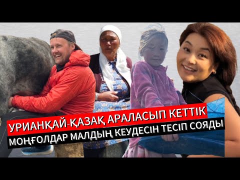 Видео: Моңғолия жалаңаш жайлауы/ Төре жайлау Қытай шекарасында қалып қойды