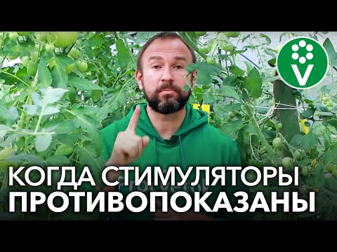 Видео: НИКОГДА НЕ ИСПОЛЬЗУЙТЕ ЭПИН И ЦИРКОН, если…