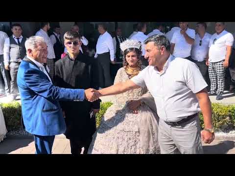 Видео: Богар о Гровфи ле чегоско ля овра андо дубаи ваш 24000$