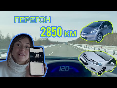 Видео: Перегон Honda Fit и Honda Insight. Что брали в дорогу и где кушали.