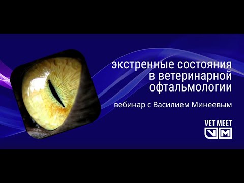 Видео: Экстренные состояния в ветеринарной офтальмологии