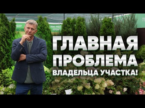Видео: Главная проблема владельца участка! Как избежать ошибок при планировке участка?