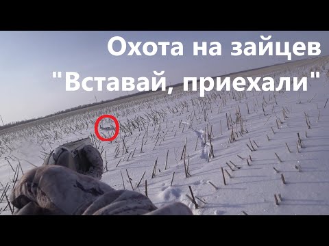 Видео: Охота на зайцев - Вставай, приехали...