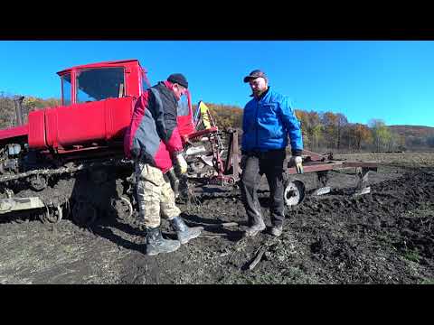Видео: Поднятая целина 1. Запахали первый гектар