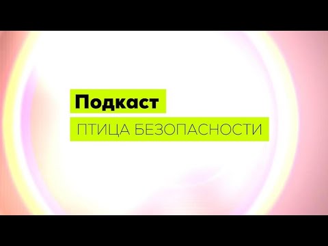 Видео: Подкаст «Птица безопасности». Выпуск 2. Охрана труда и безопасность дорожного движения. БДД