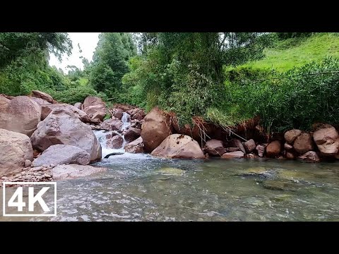 Видео: Речной поток и пение горных птиц | Красивые звуки природы для осознанности и умиротворения