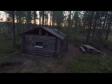 Видео: Один ночью в лесу! Хотите знать что скрывает от нас лес ночью?